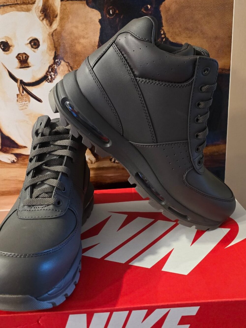 Nike Air Max Goadome Medium Ash FZ1314 200 Leather Boots Boot Mens 11 US NEW